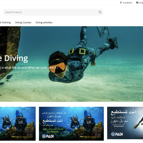 paldivers website screenshot